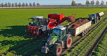 XXL Harvest Special | Franzen Agriculture | Potatoes & carrots | Planting tulips & wheat