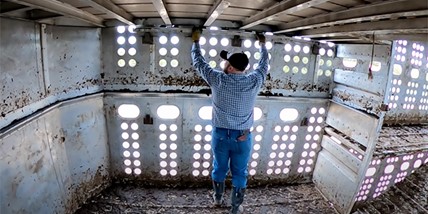 How A Big Truck Cattle Trailer Works